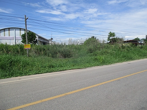 ที่ดิน  คลองขลุง กำแพงเพชร