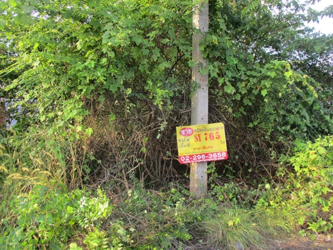 ที่ดิน  เมืองนครศรีธรรมราช นครศรีธรรมราช