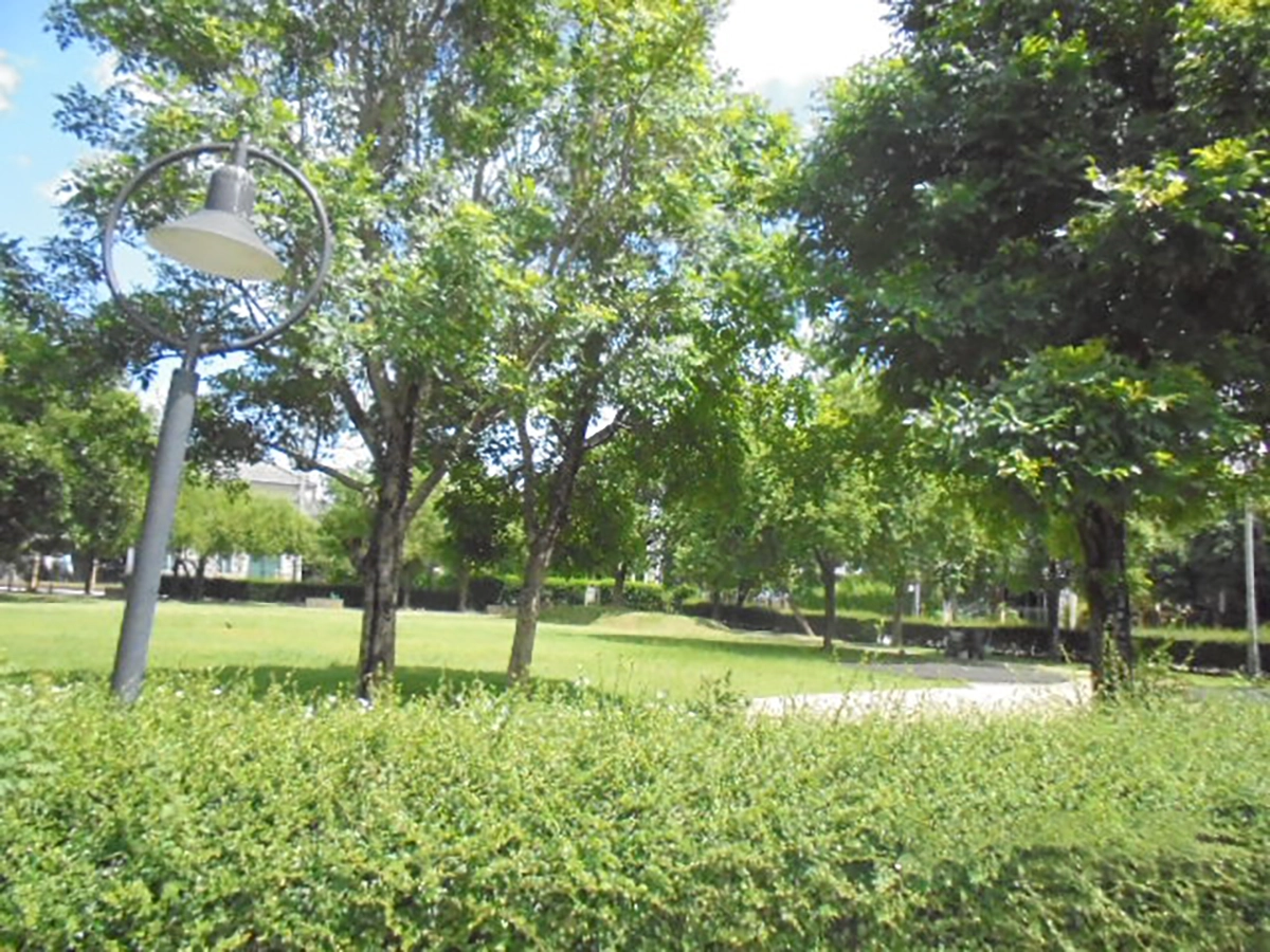 บ้านเดี่ยว รูปที่ 15