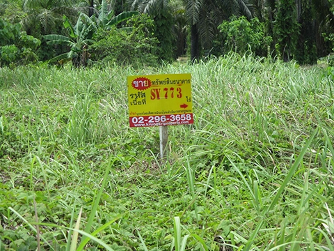 ที่ดิน  ลำทับ กระบี่