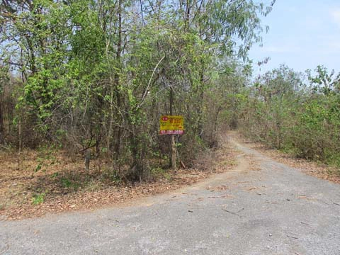 ที่ดิน  เขาย้อย เพชรบุรี