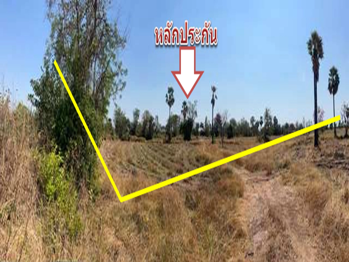 ที่ดินเปล่า รูปที่ 2