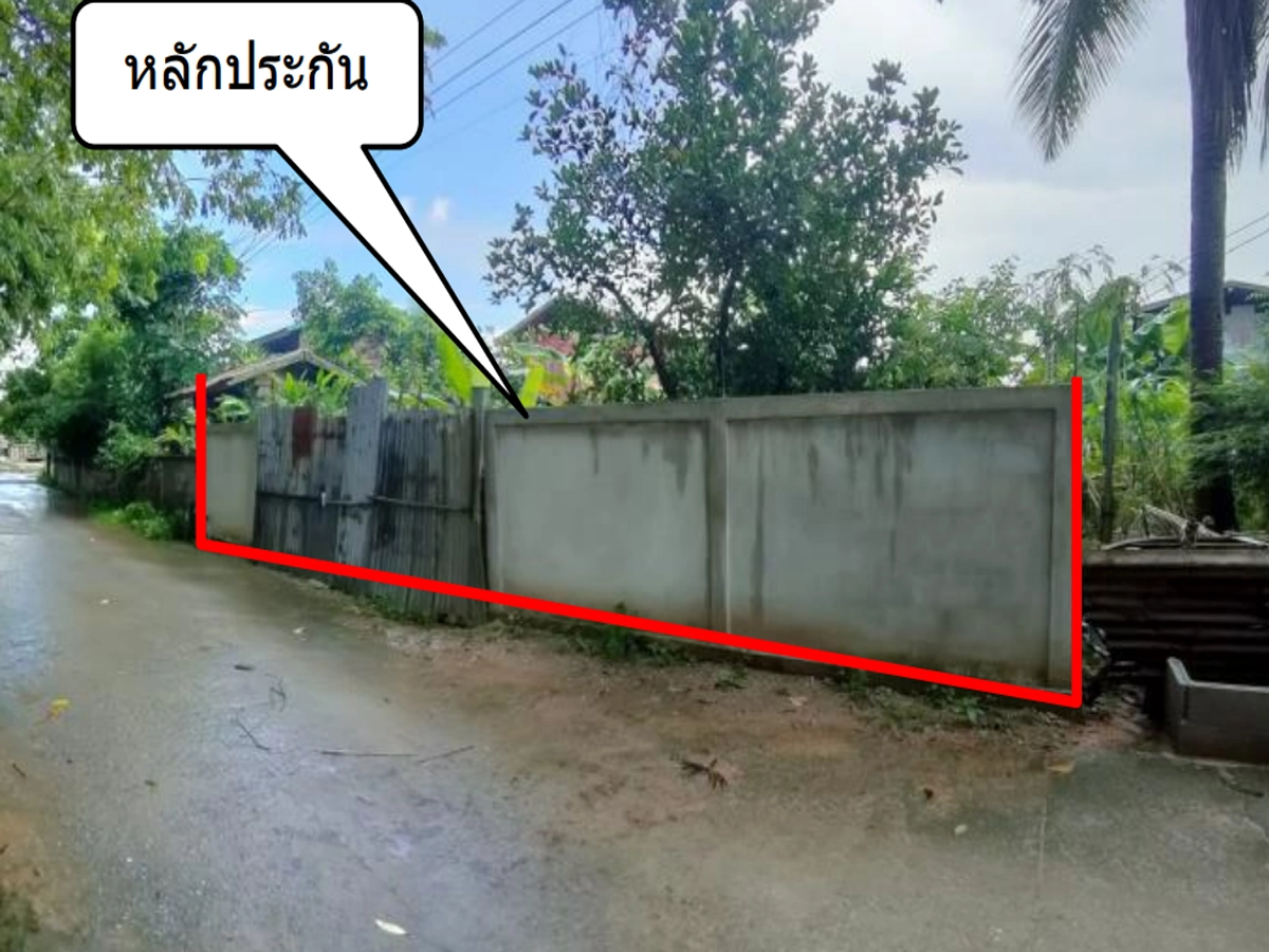 ที่ดินเปล่า รูปที่ 3
