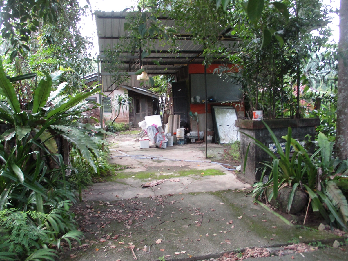 บ้านเดี่ยว รูปที่ 6