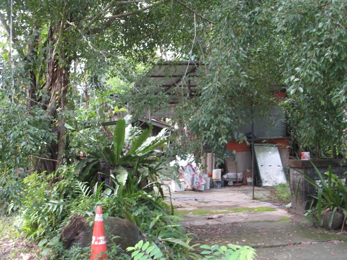 บ้านเดี่ยว รูปที่ 11
