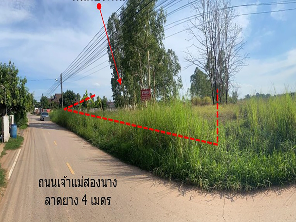 ที่ดินเปล่า รูปที่ 2