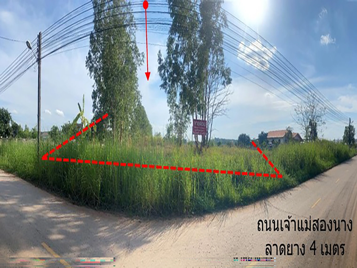 ที่ดินเปล่า รูปที่ 4