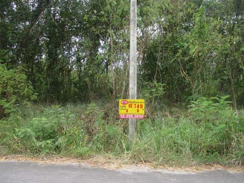 ที่ดิน  ทับสะแก ประจวบคีรีขันธ์