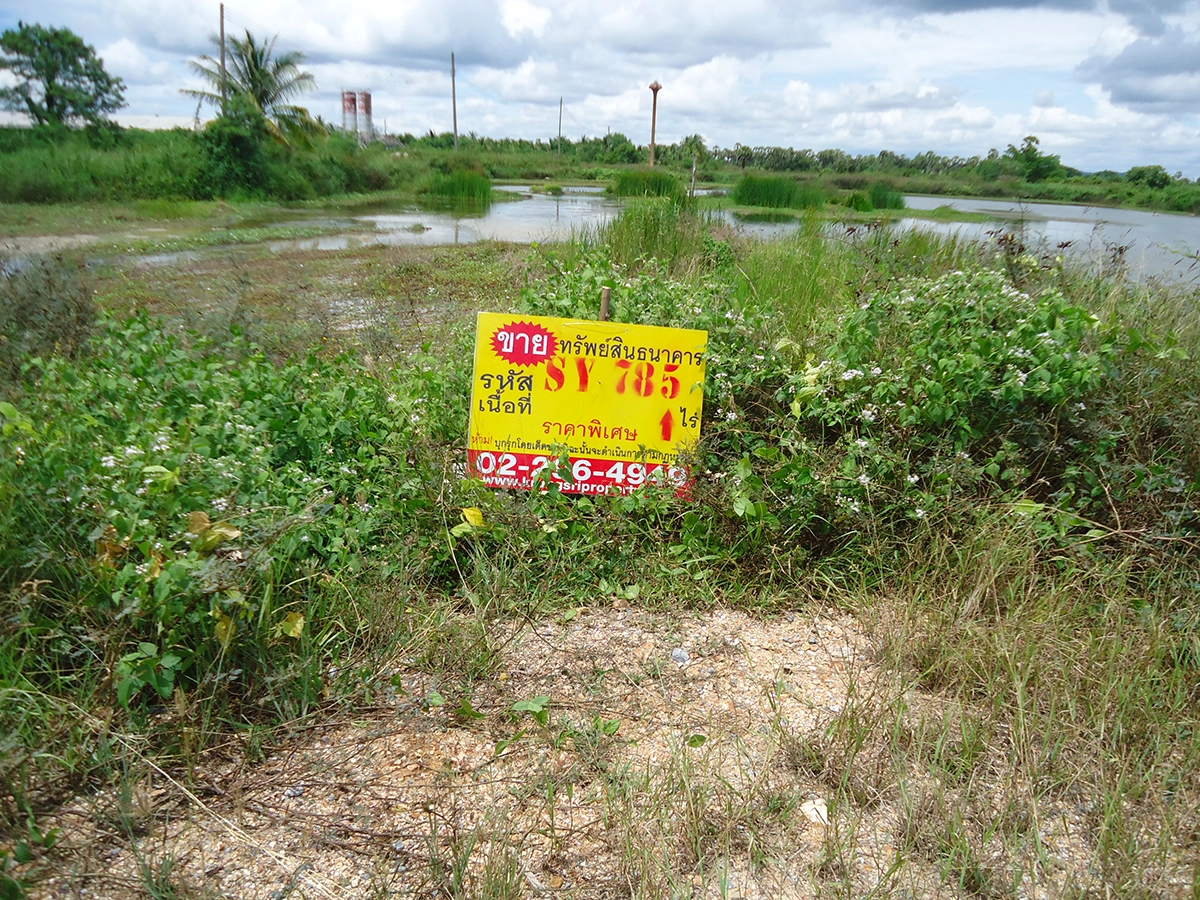 ที่ดินเปล่า หัวไทร · หัวไทร · นครศรีธรรมราช