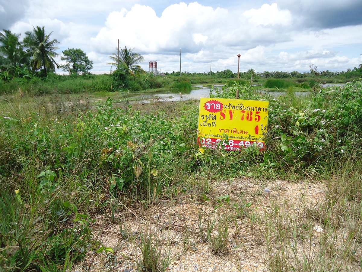 ที่ดินเปล่า รูปที่ 2