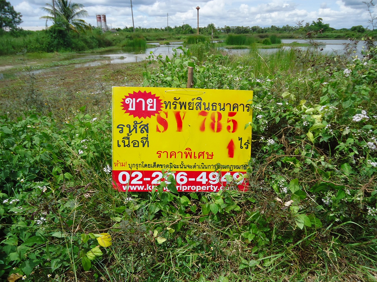 ที่ดินเปล่า รูปที่ 3