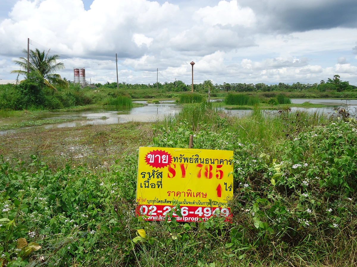ที่ดินเปล่า รูปที่ 5