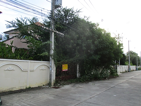 บ้านเดี่ยว  เมืองเพชรบูรณ์ เพชรบูรณ์