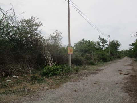 ที่ดิน  ชะอำ เพชรบุรี