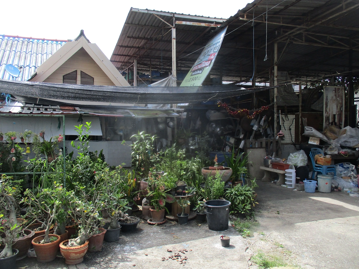 อาคารที่พักอาศัย รูปที่ 2