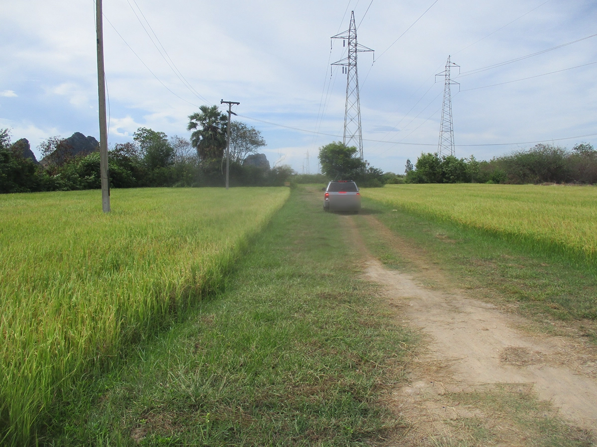 ที่ดินเปล่า รูปที่ 5