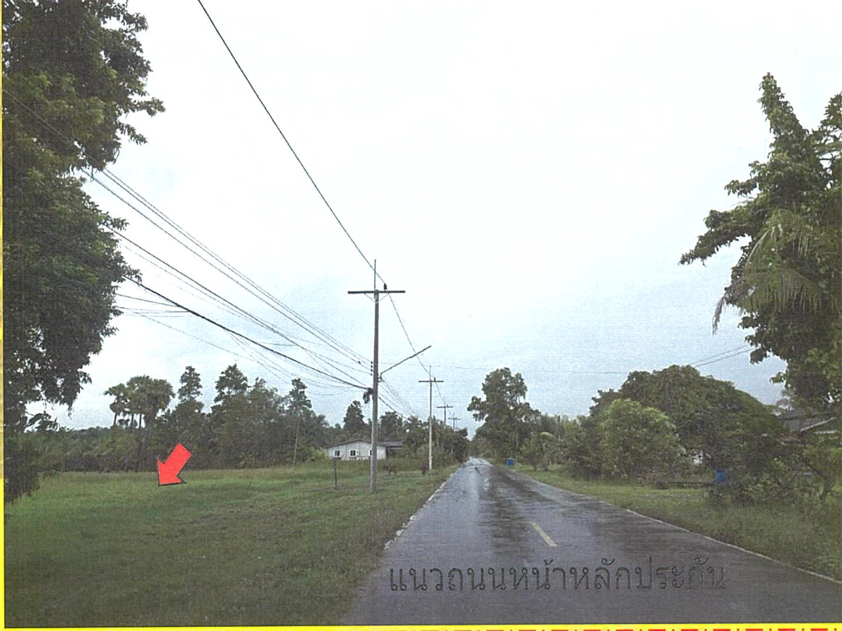 ที่ดินเปล่า รูปที่ 1