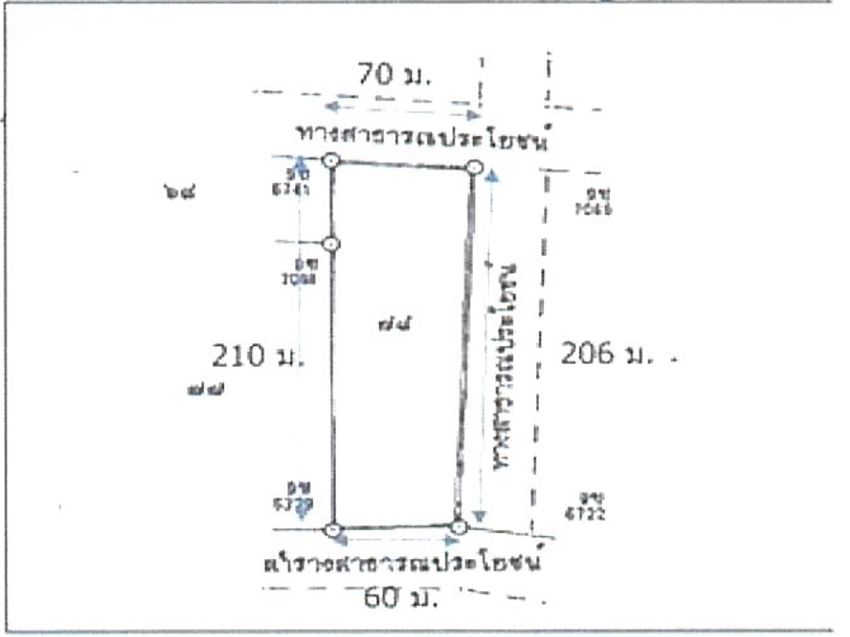 ที่ดินเปล่า รูปที่ 3