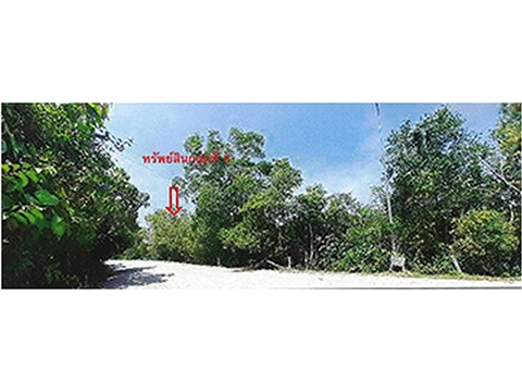 ที่ดิน  ตากใบ นราธิวาส