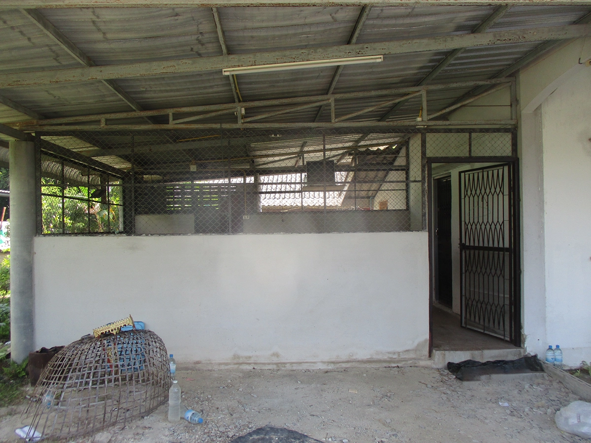 บ้านเดี่ยว รูปที่ 10