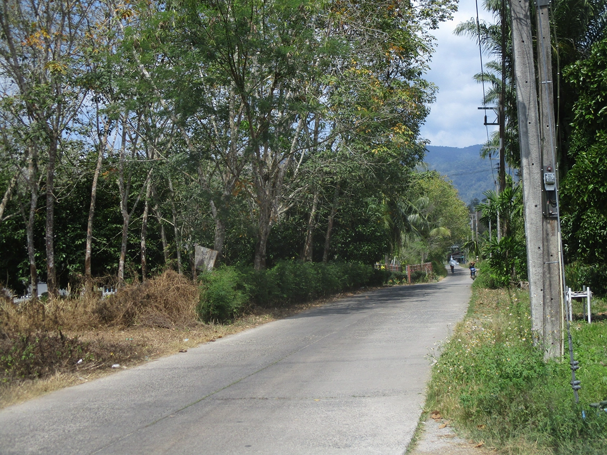 บ้านเดี่ยว รูปที่ 4