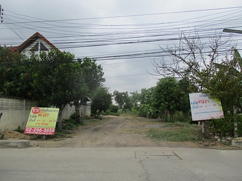 ที่ดิน  บางปลาม้า สุพรรณบุรี