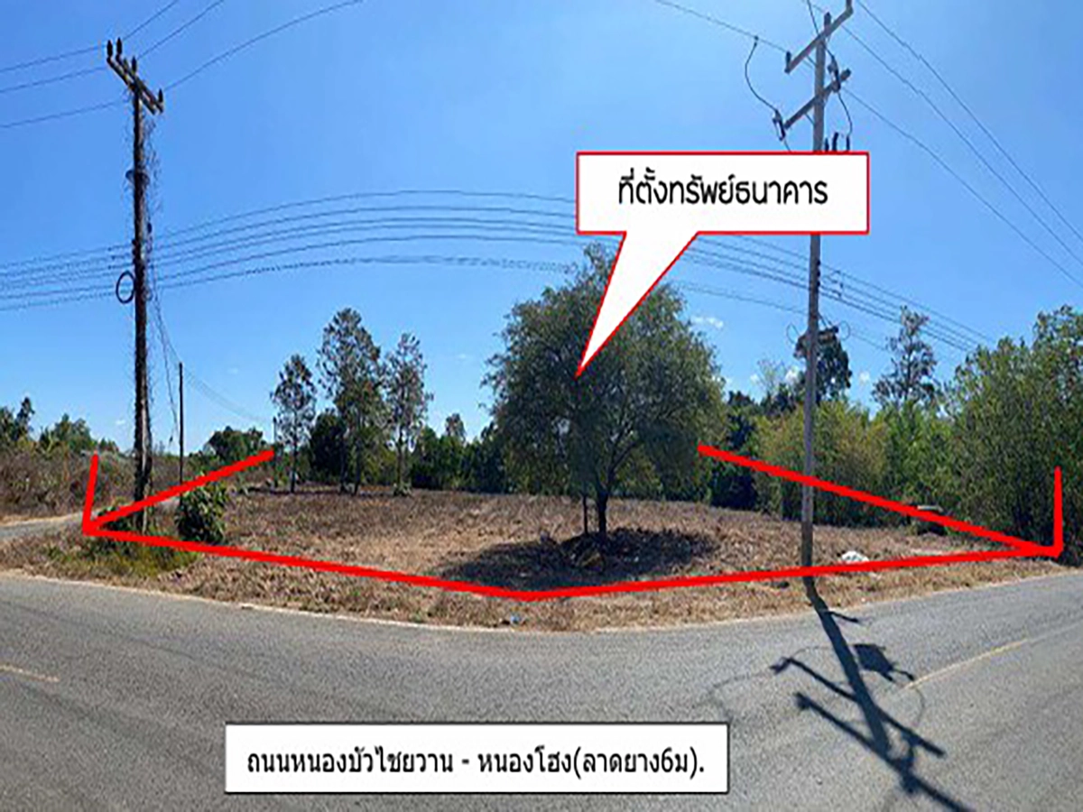 ที่ดินเปล่า รูปที่ 3