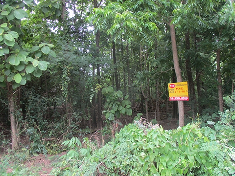 ที่ดิน  บึงสามพัน เพชรบูรณ์
