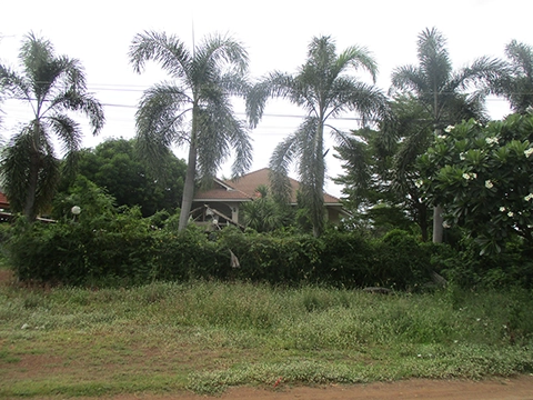บ้านเดี่ยว  หนองไผ่ เพชรบูรณ์