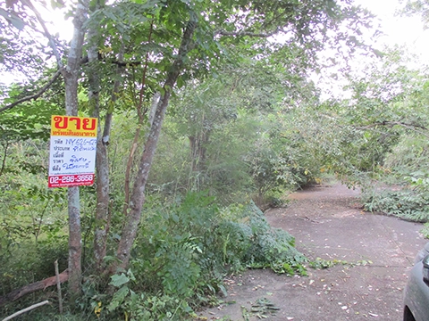 ที่ดิน  เกาะคา ลำปาง