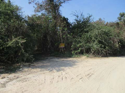 ที่ดิน  ชะอำ เพชรบุรี