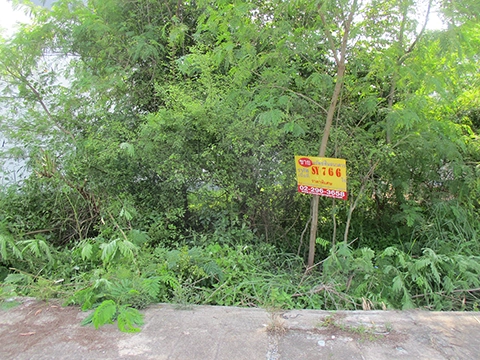 ที่ดิน  ทุ่งใหญ่ นครศรีธรรมราช