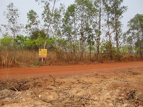 ที่ดิน  โพนพิสัย หนองคาย